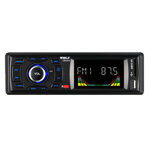Car Audio